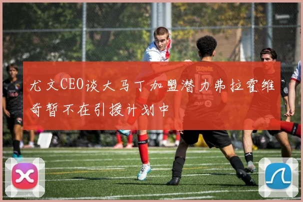 尤文CEO谈大马丁加盟潜力弗拉霍维奇暂不在引援计划中