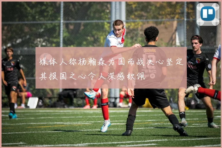 媒体人称杨瀚森为国而战决心坚定其报国之心令人深感钦佩